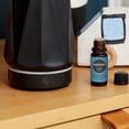 thumbnail image 2 of Edens Garden Diffuser Days Essential Oil Blend- 100% Pure Premium Grade, Undiluted, Natural, Therapeutic, Aromatherapy, The Best for Candle, Laundry, Humidifiers 30 ml (1 fl oz), 2 of 9