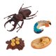 thumbnail image 5 of Ciclo de del venado Sunnimix Juguete Preescolar Desarrollo Educativo Temprano, 5 of 7