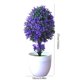 thumbnail image 3 of Decoraciones de Pascua, adornos de Pascua, plantas artificiales de Pascua, bonsáis, pequeñas plantas verdes en macetas, flores, bolas de árbol, adornos de escritorio, mini plantas bonsái, plantas de s, 3 of 7