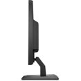 thumbnail image 4 of Monitor HP P174 LED de 17" SXGA negro, 4 of 5