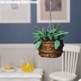 thumbnail image 5 of 1/12 Plantas Colgantes En Miniatura Mini Pequeñas Plantas En Maceta Miniaturas Accesorios De Decoración Para Casas De Muñecas Accesorio Para Casa De Muñecas, Verde Oscuro, 5 of 5