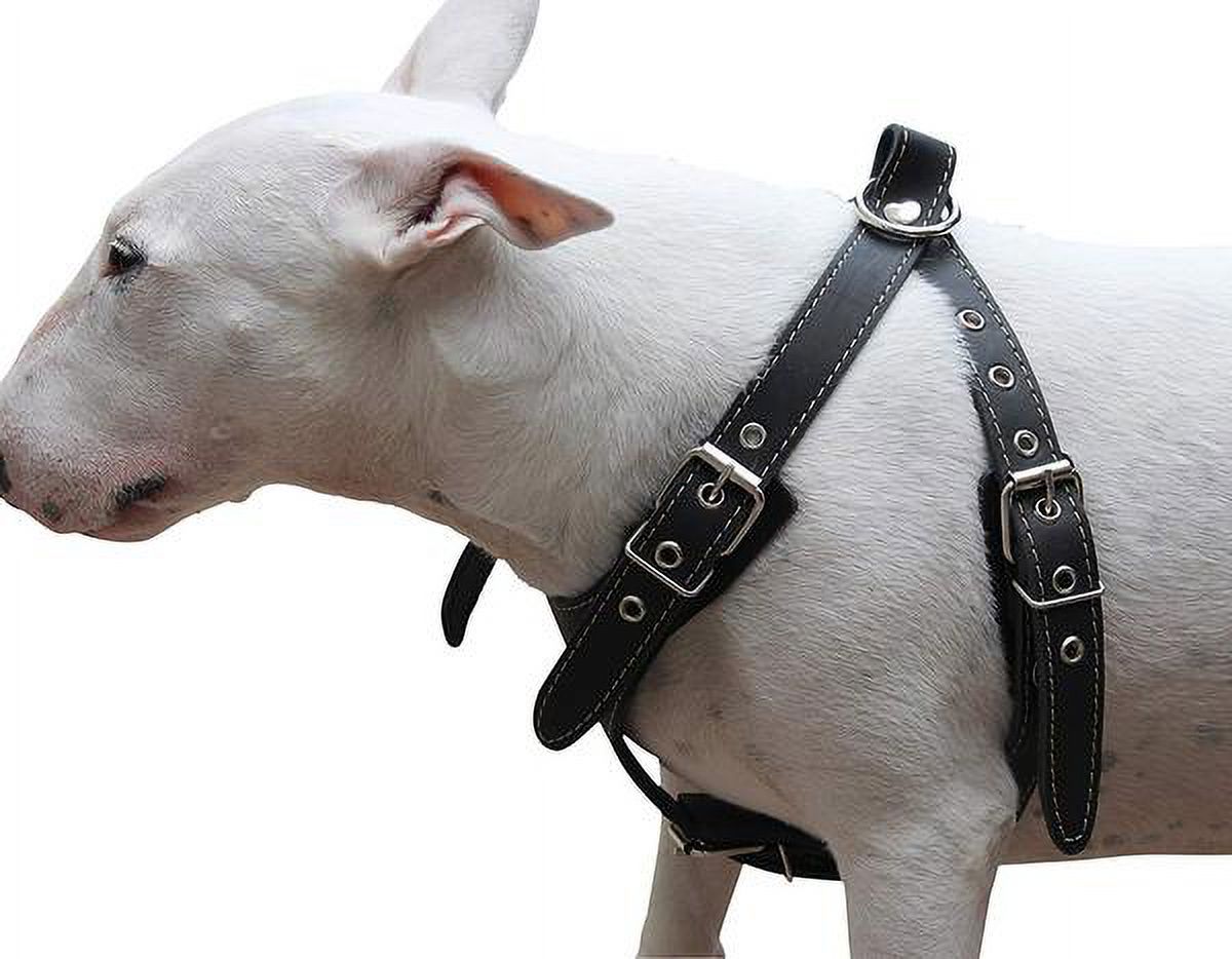 Black Genuine Leather Dog Harness, Medium. 25'-30' Chest, 1' Wide Adjustable Straps