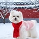 thumbnail image 5 of Ropa para perro de Año Nuevo chino, suave, cómoda, para cosplay, disfraz Tang de primavera. M, 5 of 9