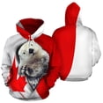 thumbnail image 2 of Sudadera con capucha con estampado 3D de animales de gato de Canadá para hombres y mujeres, sudaderas de gran tamaño, moda urbana, sudadera con capucha para niños, ropa deportiva Y2k, 2 of 5