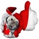 thumbnail image 4 of Sudadera con capucha con estampado 3D de animales de gato de Canadá para hombres y mujeres, sudaderas de gran tamaño, moda urbana, sudadera con capucha para niños, ropa deportiva Y2k, 4 of 5