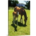 thumbnail image 1 of Great BIG Canvas | "Mare & Foal I" Canvas Wall Art - 32x48, 1 of 2