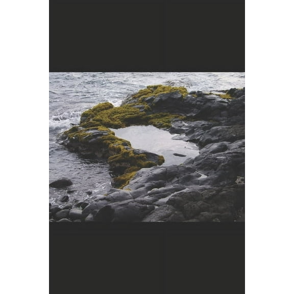 The Puddle Jumpers (Paperback)