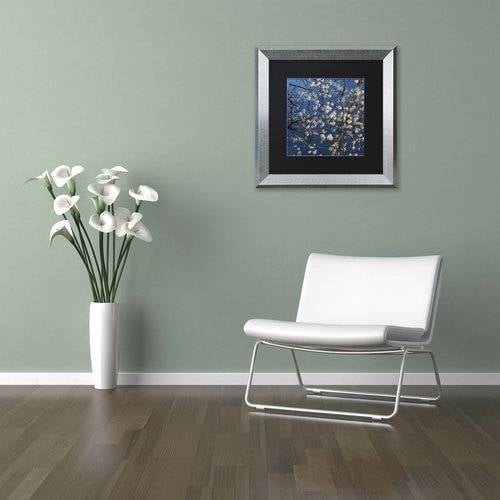 Trademark Fine Art "Springtime at the Lake" Canvas Art by Kurt Shaffer, Black Matte, Silver Frame