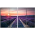 thumbnail image 2 of Endless Rows of Lavender Flowers - Modern Landscape Wall Art Canvas, 2 of 3