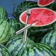 thumbnail image 3 of Juego De Herramientas Para Cortar Frutas De Acero Inoxidable, Cortador De Fruta, Cuchara De Melón, Pelador De Limón, Cortador Para Tallar Frutas Para Utensilios De Cocina Moyic HA036710-00, 3 of 6
