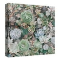 thumbnail image 4 of Fine Art Canvas Succulent Garden Square by Studio Arts Canvas Art Print, 4 of 4
