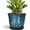 Blue, variant on Ceramic Pots for Plants - 5.6 Inch Plant Pot with Drainage Hole and Saucer, Round Orchid Succulent Pots for Indoor Outdoor, Modern Small Planter, Home Office Decor, Gifts for Women, Beige