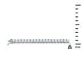 thumbnail image 6 of DAZE 3MM CZ Tennis Choker Chain | 961472, 6 of 7