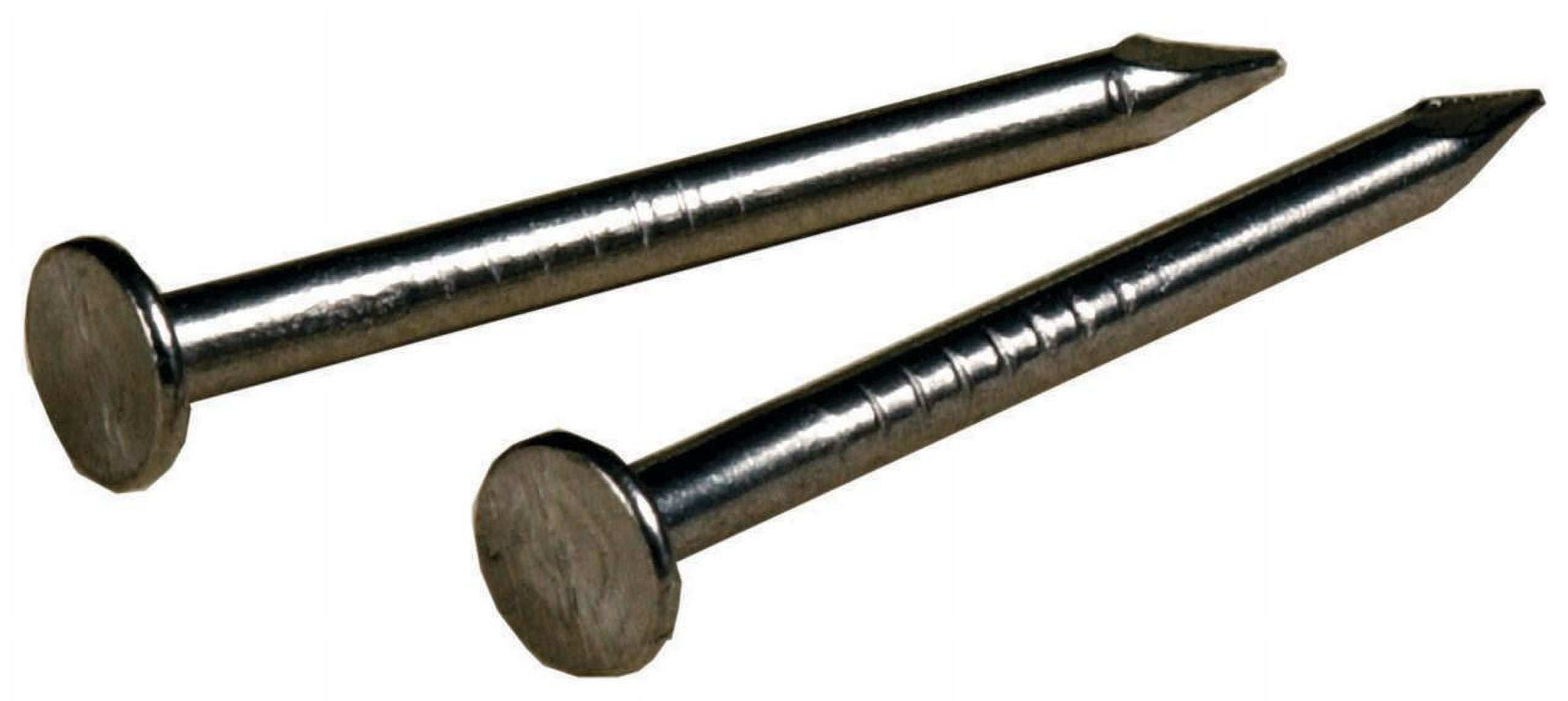Hillman 122532 Wire Nail, 1 in L, Steel, Stainless Steel, Flat