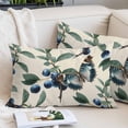 thumbnail image 2 of Blueberry Spring Leaves Pillow Covers 16"x24", Beige Botanical Branches Soft Brushed Microfiber Breathable Throw Pillow Covers, Decorative Pillowcase with Zipper for Couch Sofa Bedroom Living Room, 2 of 9