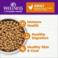 thumbnail image 3 of Wellness Complete Health Dry Cat Food, Chicken & Chicken Meal Recipe, 5lb Bag, 3 of 9