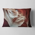 thumbnail image 2 of Designart Antelope Canyons Hollow - Landscape Photo Throw Pillow - 12x20, 2 of 5