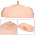 thumbnail image 3 of Amdohai PVC Training Head Shoulder Holder Cosmetology Mannequin Training Heads Stander Mannequin Head Bust Stand Base, 3 of 7