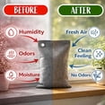 thumbnail image 4 of 100g bamboo charcoal bags (10 pack) - activated carbon deodorant - for home, car, closet, shoe odors reusable deodorant bags - absorbs odors and moisture - organic sustainable room air freshener, 4 of 4