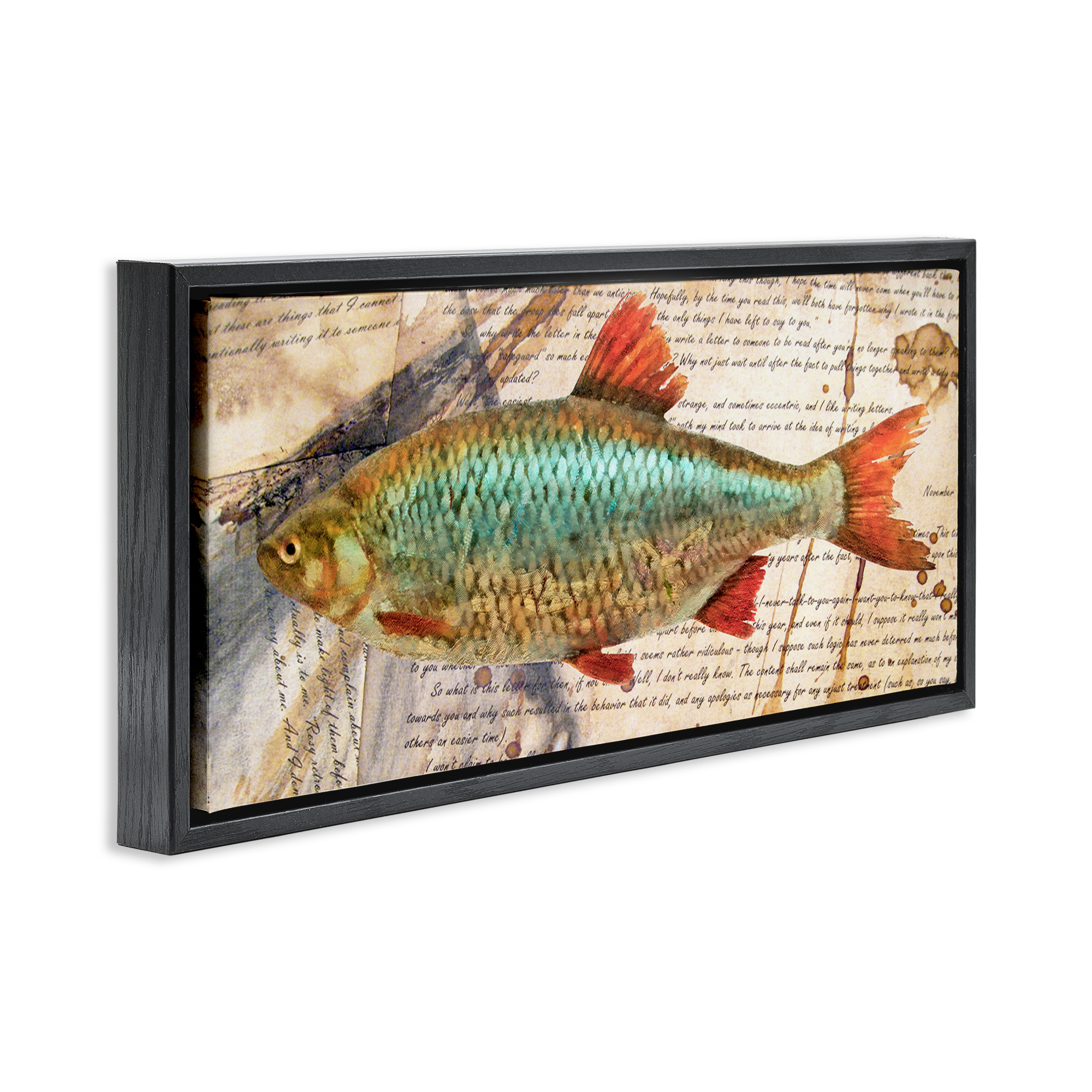 Stupell Industries Vintage Pages & Fish Animals & Insects Painting Black Floater Framed Canvas Art Print Wall Art, 25 x 11