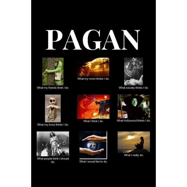Pagan Funny Meme Grimoire Personal Book Of Shadows Notebook Gift Idea For Wicca Wiccan Witchcraft Spells 1 Pages 6 X 9 Hilarious Gag Present Paperback Walmart Com