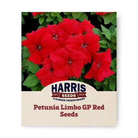 Harris Seeds - Petunia Limbo GP Red F1 Seeds - Large Flower - 500 Seeds