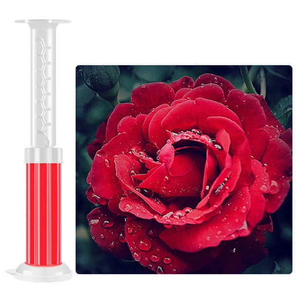 DOYOUNG Toilet Gel Stamp Easy to Use Fresh Gel Toilet Cleaning Stamp