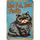 thumbnail image 1 of Placa Metal Vintage Pintura Hierro Rectangular Gato Arte Pared Bar para El 20x30cm, 1 of 9