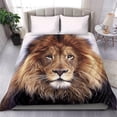 thumbnail image 3 of Juego de cama Lion, 3 of 4