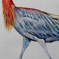 thumbnail image 2 of Betsy Drake SN820 11 x 14 in. Reddish Egret Small Pillow, 2 of 3