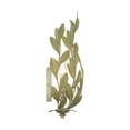 thumbnail image 4 of Crystorama Lighting Group 561-GA Broche 2 Light 16" Tall Wall Sconce - Gold, 4 of 7