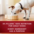 thumbnail image 2 of Purina ONE True Instinct Classic Ground Beef & Wild-Caught Salmon, Wet Dog Food 368 g, 2 of 8