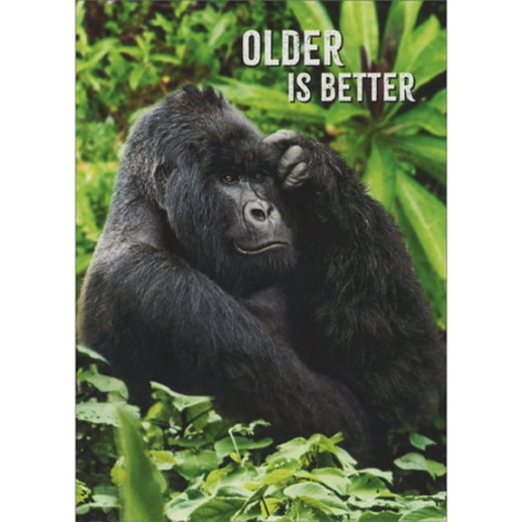 Avanti Press Older is Better: Gorilla Scratching Head Funny Birthday Card