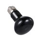 thumbnail image 1 of AC220-240V 100W Tungsteno emisor de calor luz mascota reptil lámpara E27 Leyfeng  Bulbo, 1 of 7