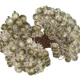 thumbnail image 3 of 500/20 piezas Mini bayas artificiales escarchadas de Navidad de doble cabeza, bayas de acebo, ramos de flores falsas, corona de bricolaje, decoración de fiesta de Navidad, 3 of 5