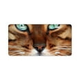 thumbnail image 1 of CafePress - Paws And Wiskers - Aluminum License Plate, Front License Plate, Vanity Tag, 1 of 1