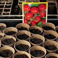 thumbnail image 4 of Juego de macetas biodegradables Yjmei para jardinería 50 piezas redondas 8 cm color beige, 4 of 5