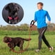 thumbnail image 4 of Set de collar y correa para perros Ladoogo, neopreno reflectante para perros, 4 of 6