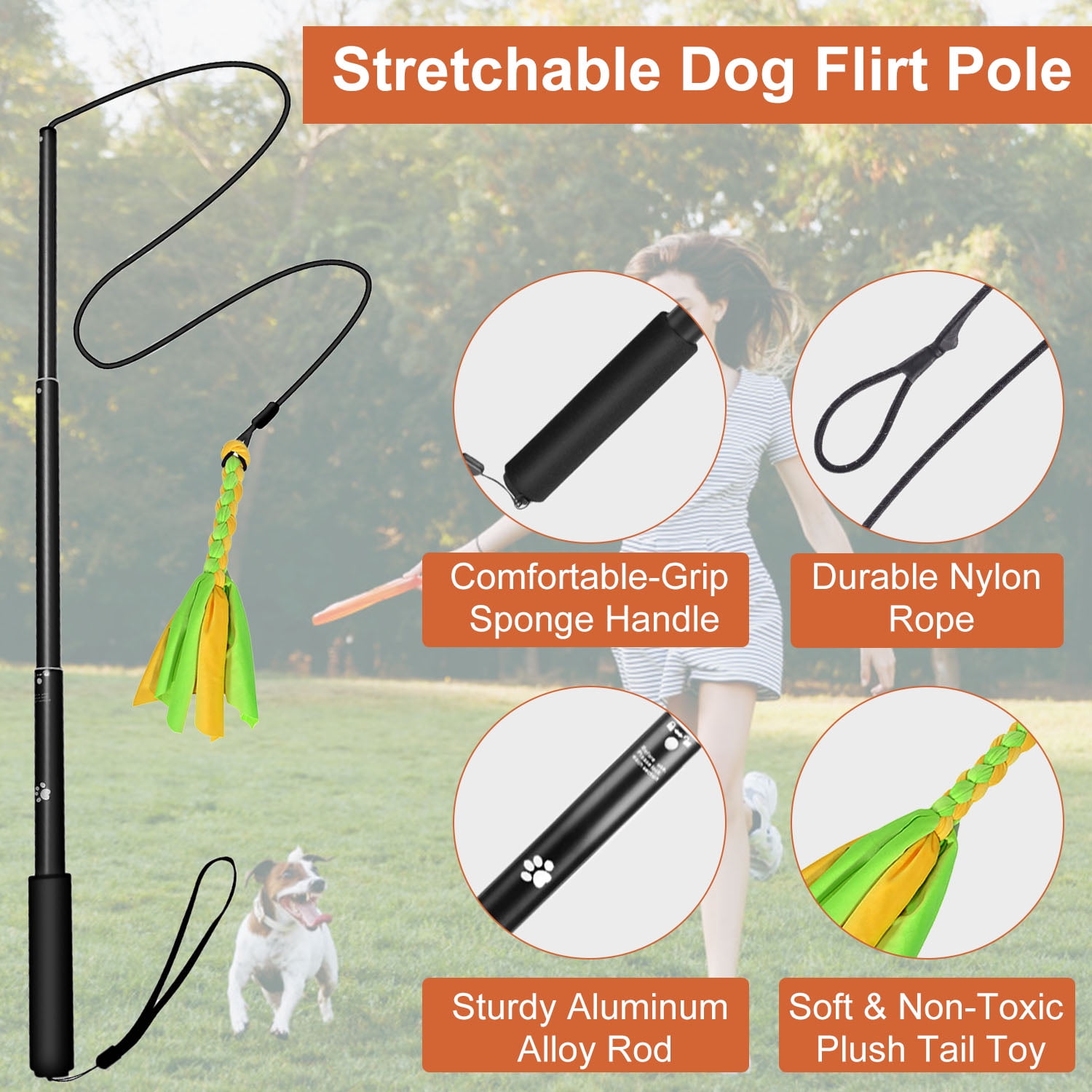 Flirt pole petco clearance