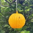 thumbnail image 5 of Ball Fruit Fly Catcher Flying Insect Bug Pest Gnat Traps Ball Wasp Bee Insect Trap for Indoor Outdoor House Kitchen Plants Trees (Yellow), 5 of 9
