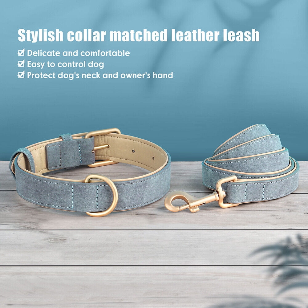 Pet Artist PU Leather Dog Collar and Leash set Soft Padded Adjustable for Pets S-XL