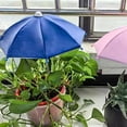 thumbnail image 2 of SDFGTstore Essential Plant Care Umbrellas Providing Sun and Rain Protecting for Growth, 2 of 15
