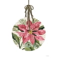 thumbnail image 3 of Jacobs, Cindy 12x14 Black Modern Framed Museum Art Print Titled - Poinsettia Ornament, 3 of 5