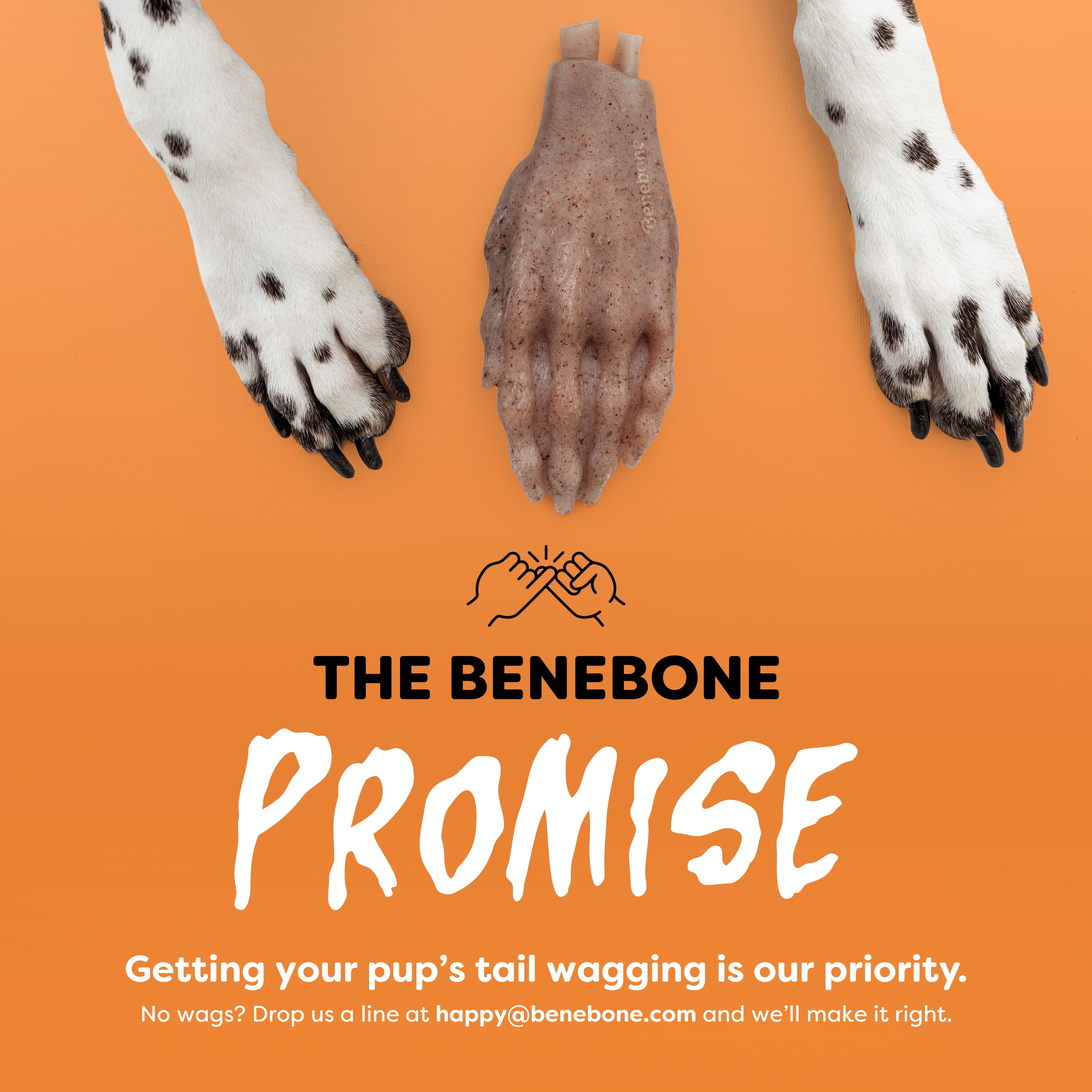 Benebone Essentials Halloween Skeleton Hand Dog Chew Toy for Medium to Large Sized Dogs