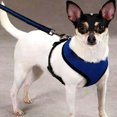 thumbnail image 2 of Flmtop Nylon Pet Puppy Soft Mesh Dog Harness Strap Vest Collar for Small Medium-sized Black, 2 of 7