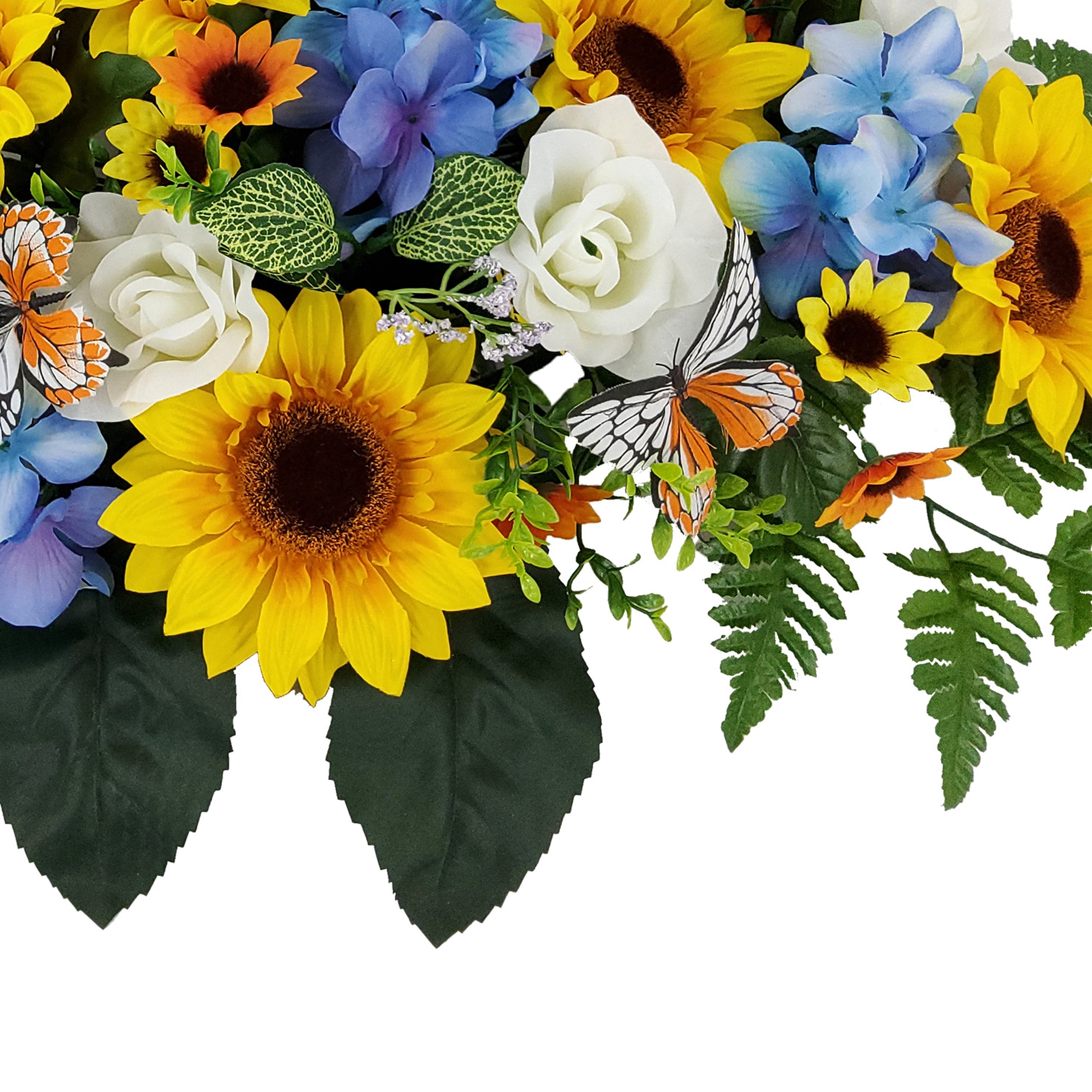 メイフラワー ザ・メイフラワー裸苗 - The Mayflower (Austilly) – David