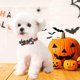 thumbnail image 4 of KAIYANG piezas de adornos de lazo de Halloween para mascotas, collares ajustables separados para mascotas (cuello: 7,6"-10,6") S, 4 of 5