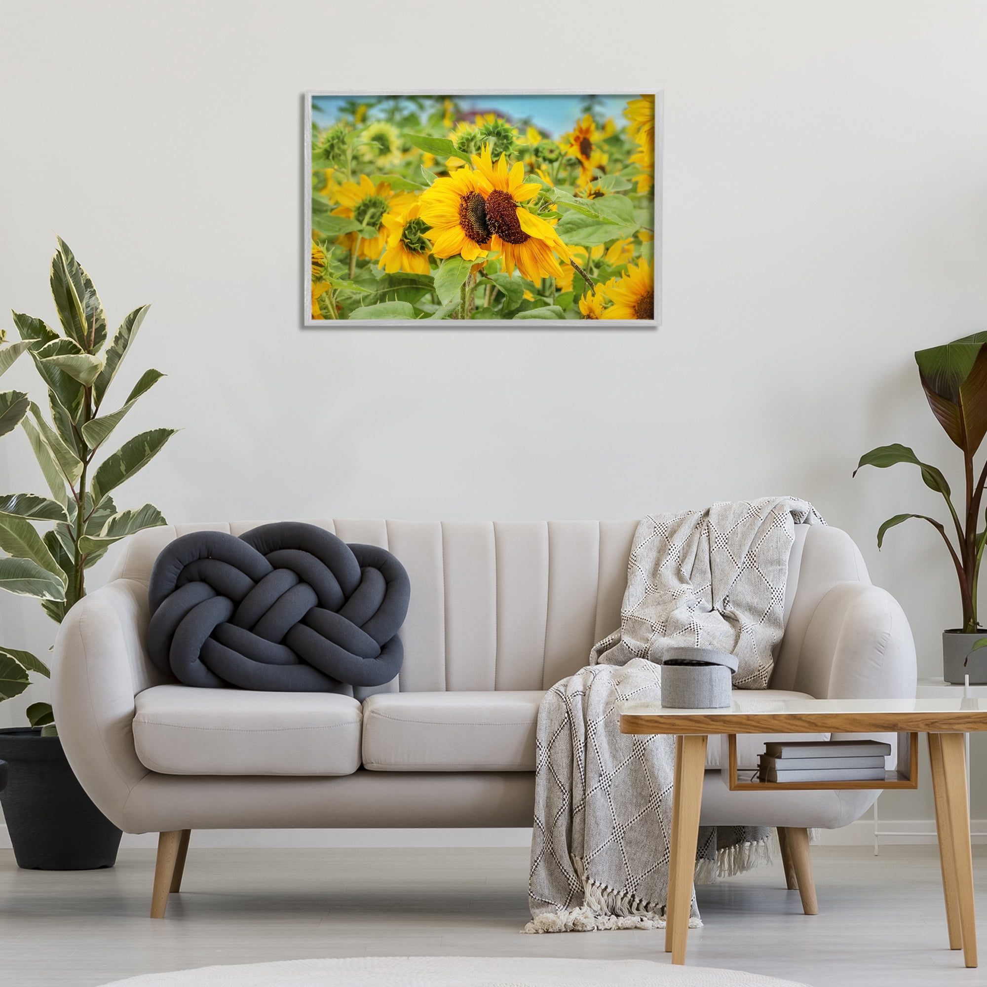 Stupell Industries Sunflower Field Photography Landscape Photography Gray Framed Art Print Wall Art, 30 x 20