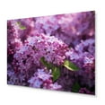 thumbnail image 2 of Designart "Fragrant Blossoms in Purple Lilac IV" Lilacs Metal Wall Art, 2 of 5