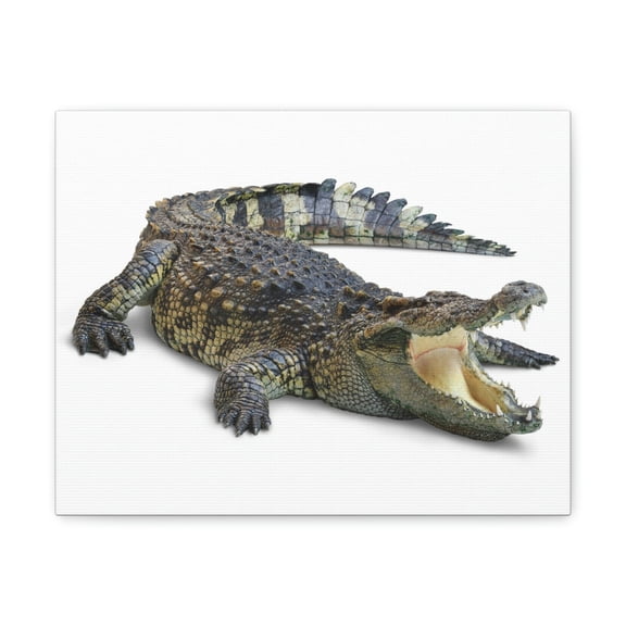 Crocodile Hunting Crocodile on Hunt Print Animal Wall Art Wildlife Canvas Prints Wall Art Ready to Hang Unframed